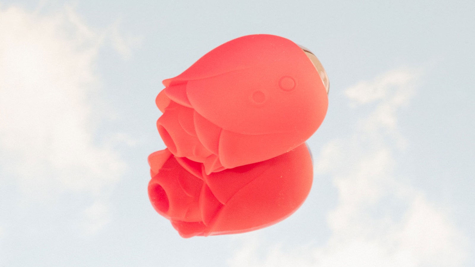 I Tried the Viral Rose Vibrator&-Here’s What I Thought