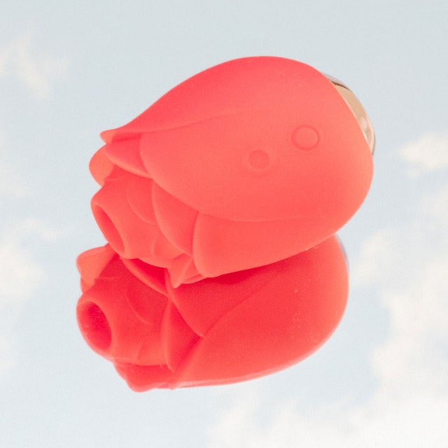 I Tried the Viral Rose Vibrator&-Here’s What I Thought