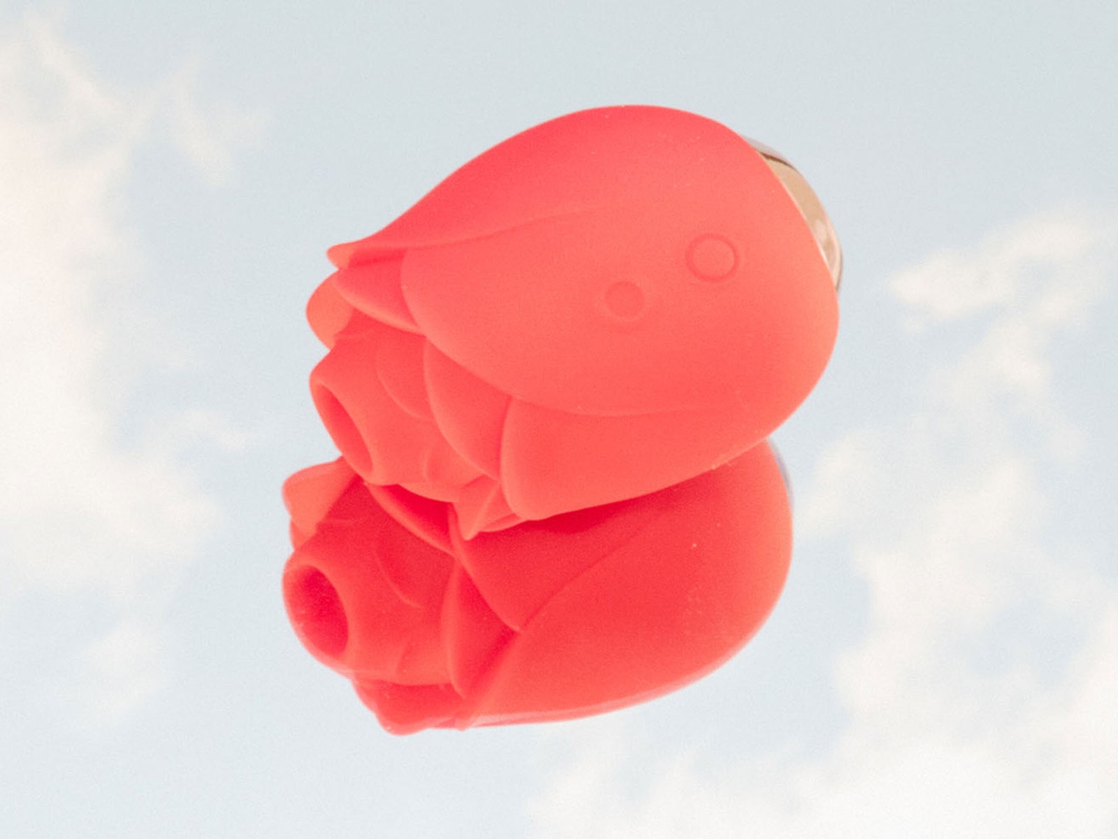 I Tried the Viral Rose Vibrator&-Here’s What I Thought