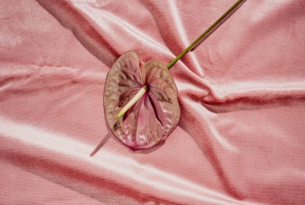 All Vaginas Are Different: Here Are 9 Different Ways It Can Look, From OB/GYNs