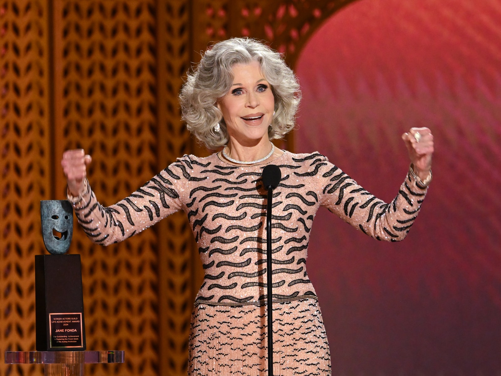 Jane Fonda Got a Standing Ovation for Her Powerful SAG Awards Speech