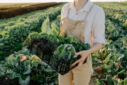 The Troubling Link Between Pesticides & Parkinson's Disease Risk